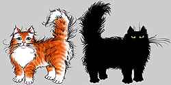 Black Cat Red Cat