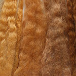 Blonde Bundles