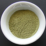 Buxus dioica