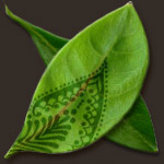 Mehandi.com