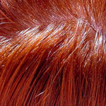 NO more lice!